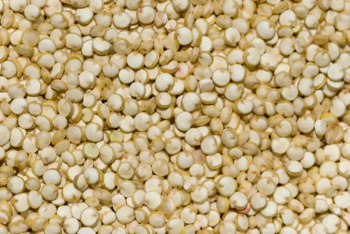 Quinoa-Samen als texturierte Fläche